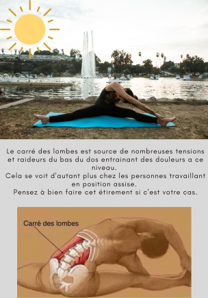 Carré des lombes